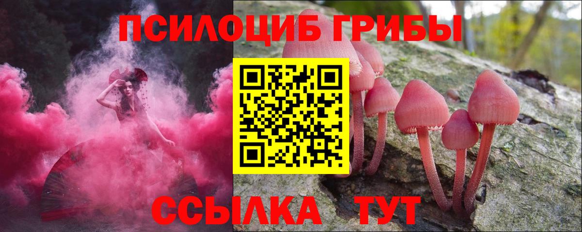 Жуковский  Псилоцибиновые грибы Cubensis  купить наркоту  Галлюциногенные грибы Psilocybine cubensis  Вход с VPN 